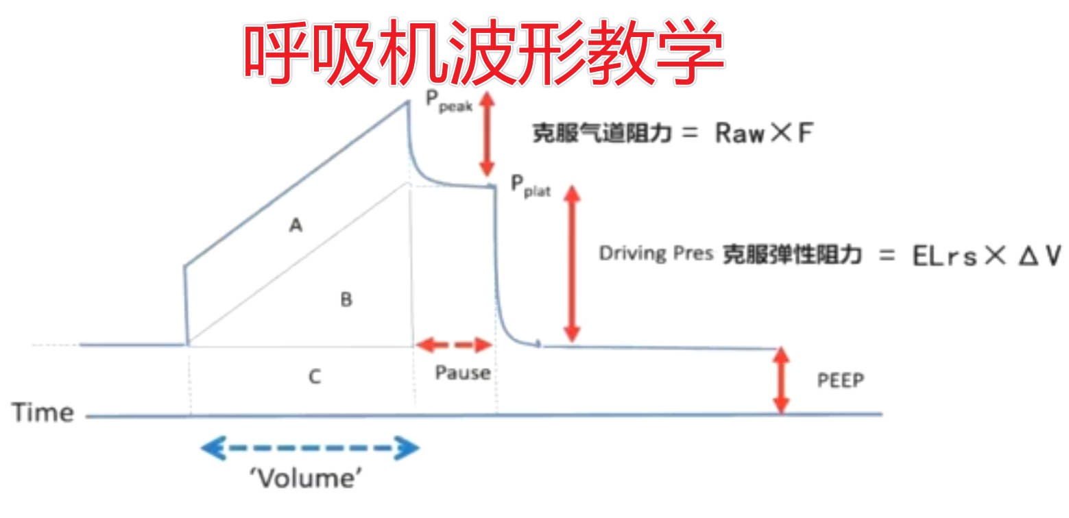 呼吸机波形教学